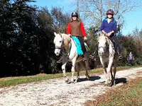 Loisirs Équestres de Chauray
