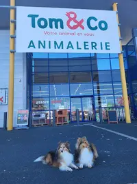Tom&co Niort - Animalerie - Dog Wash