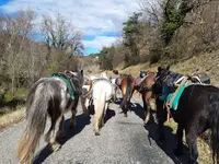 Equi-liens Lieu de Rencontre Entre l'Humain et l'Équin
