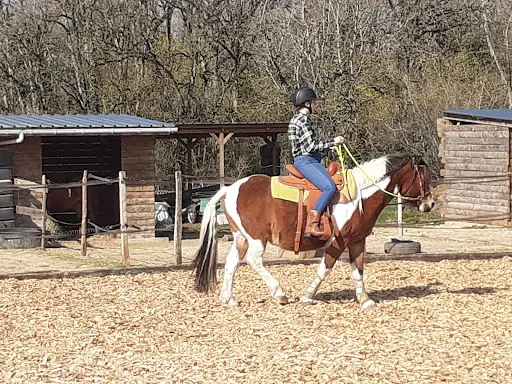 Equi Feeling