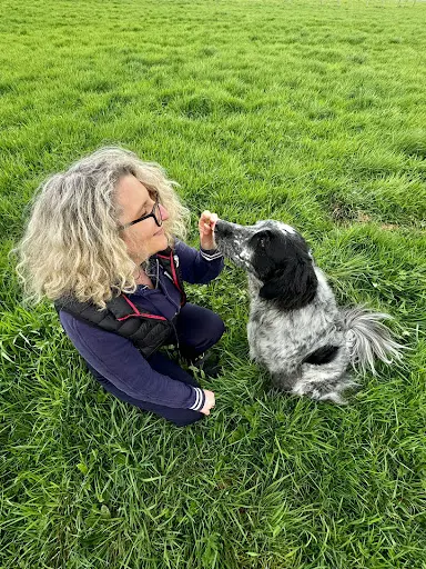 Etc Education Canine Transmission Conseil
