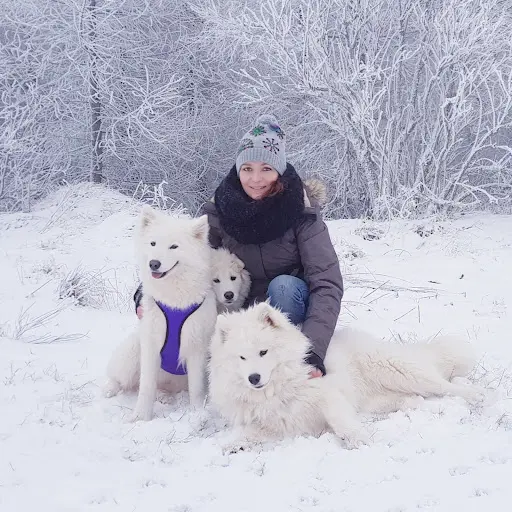 Colo Canine Caniforez