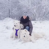 Colo Canine Caniforez