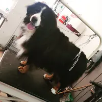 Couaff Moi