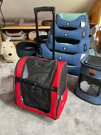 Le Dressing du Chien