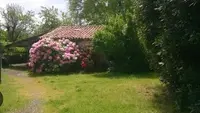 Pension Canine : la Cabane des Loupiots