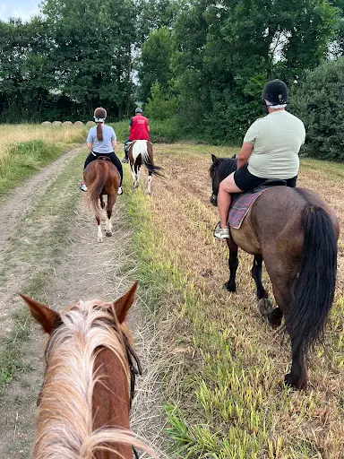 Ferme les Poneys de la Durme