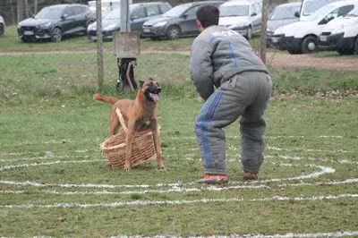 Centre Canin de Chemaudin