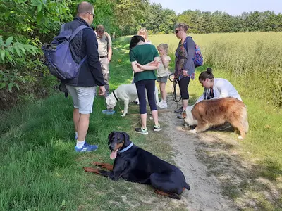 Un Chien au Poil - Educateur et Comportementaliste Canin À Château-gontier-sur-mayenne et Ses Alentours