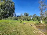 Educ Val du Royaume de Navarre