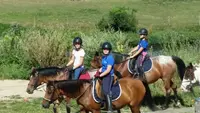 Ecuries du Saut des Vosges