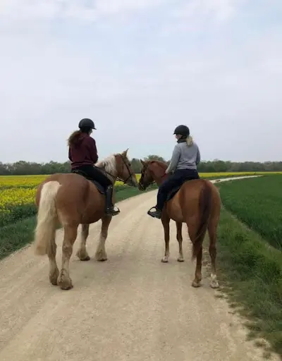 Effusion Hippique