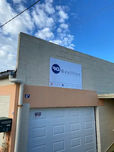 Fg Reptiles