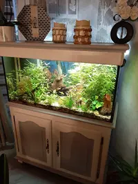 Jardiland
