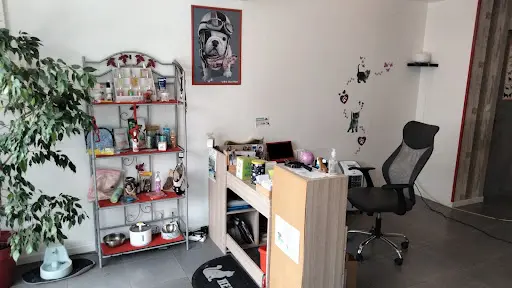 Séduction Canine
