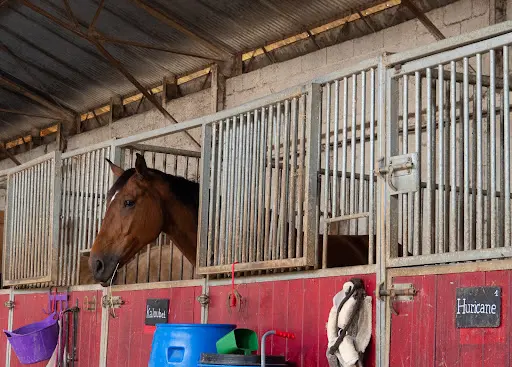 Asee - Aventure Sport Equestre Ecurie (anciennement Aventure et Vous)