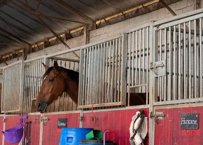 Asee - Aventure Sport Equestre Ecurie (anciennement Aventure et Vous)