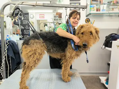 Le Chien Bleu