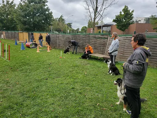 Seccl - Club Canin Chevilly-larue