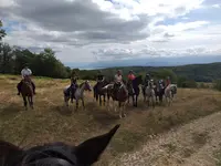 Equinature Equitation Pays de Gex Véraz (sous Chevry) 01170