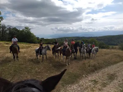 Equinature Equitation Pays de Gex Véraz (sous Chevry) 01170