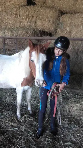 Haras de Valy