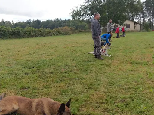 Cact | Club Annécien du Chien de Travail