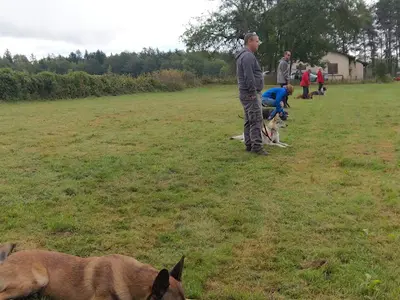 Cact | Club Annécien du Chien de Travail