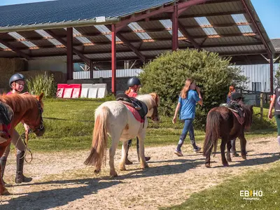 Cintrequestre - Centre Équestre À Cintré