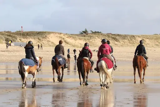 Poney Club de Marcou