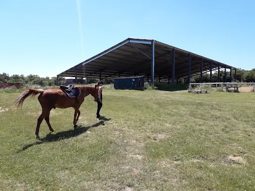 Haras de l'Olivier