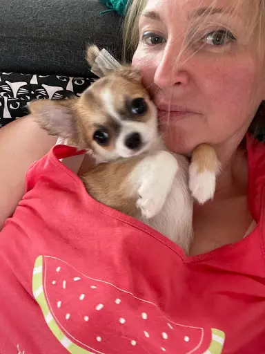 New Litelboss