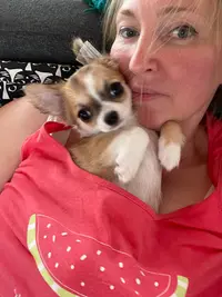 New Litelboss