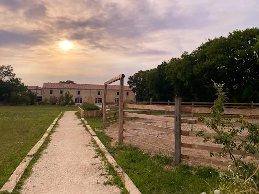 Red Apple Ranch
