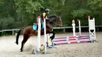 Centre Equestre Bois Fleuri