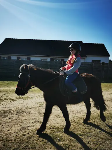 Poneys des Brulins