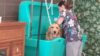 Le Salon de Marilou