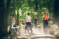 Chien Malin | l'École du Chiot et Éducation Canine