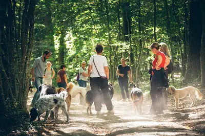 Chien Malin | l'École du Chiot et Éducation Canine