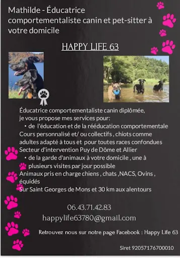 Happy Life