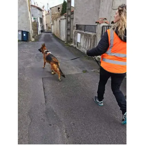 Sév N Truff