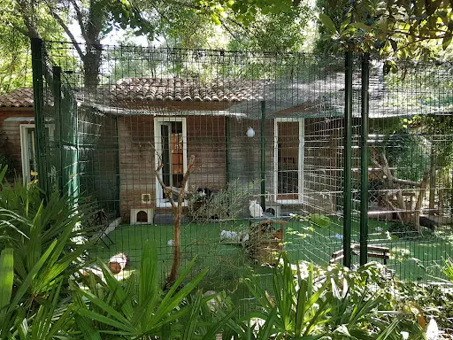 Le Moulin des Chats
