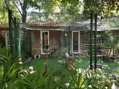 Le Moulin des Chats
