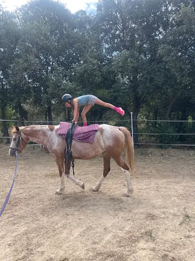 Pony Land
