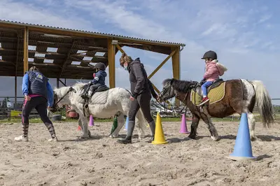 Poney Club des 5 Arpents