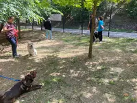 Croc-blanc, Education Canine & Agility