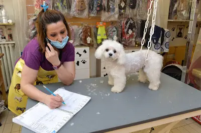 Lady Chiens