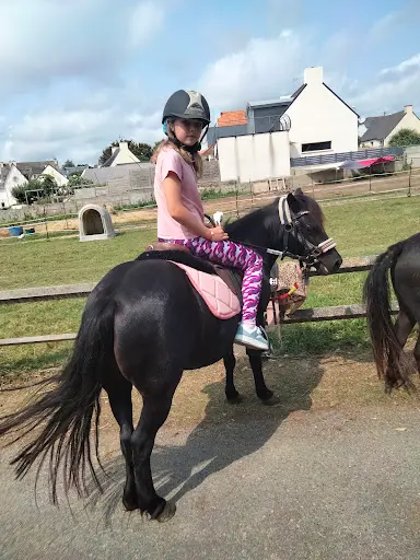 Breizh Poneys