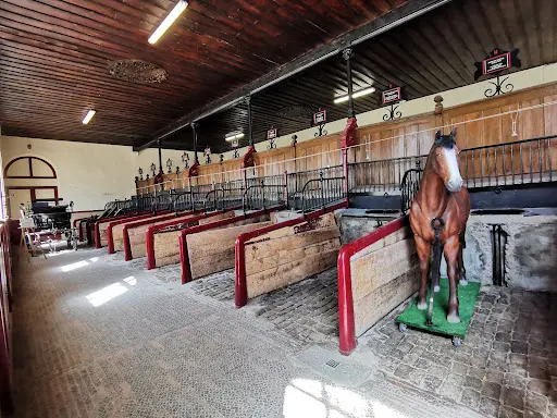 Haras National de Cluny