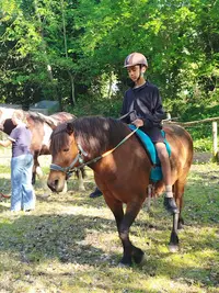 Cheval Chamane